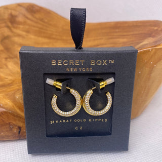 14K Gold Dipped CZ Diamond Earrings