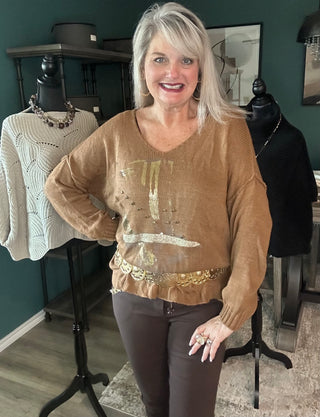 Long Sleeve Mocha Brivido V Neck Sweater