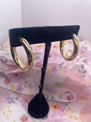 Gold Dipped Earrings