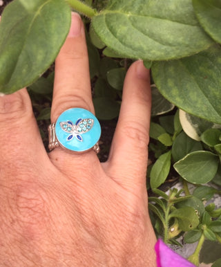 Blue Dragonfly Snap