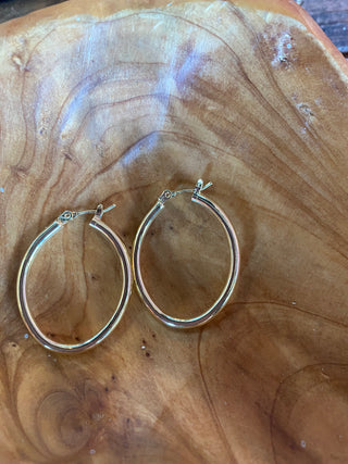 Oval Gold Tone Earrings