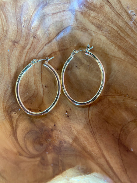 Oval Gold Tone Earrings