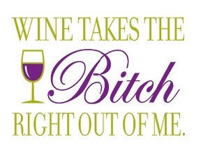 Wine Takes the Bitch Right Out of Me Fridge Magnet