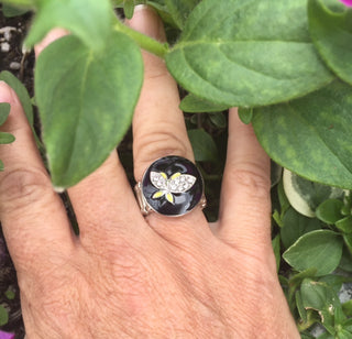 Black Dragonfly Snap